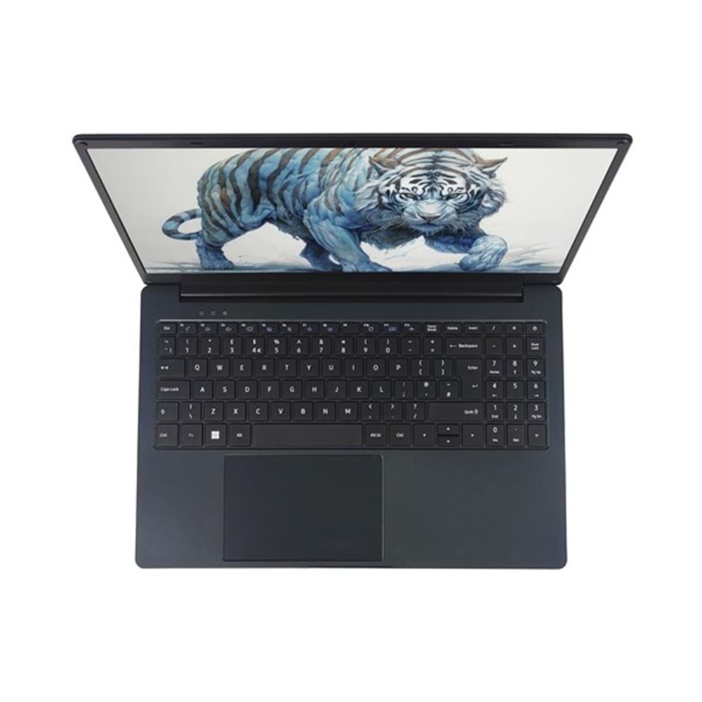 QUADRO 15.6