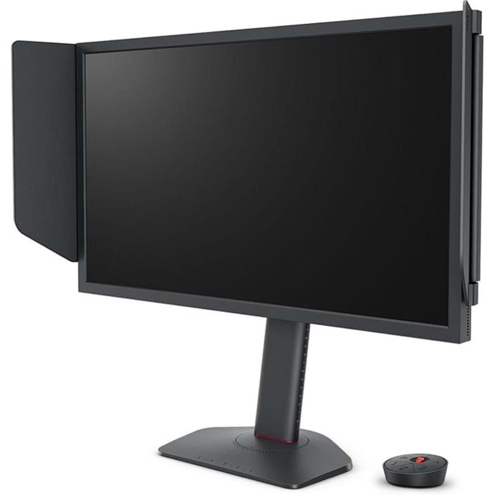 BENQ 24.5