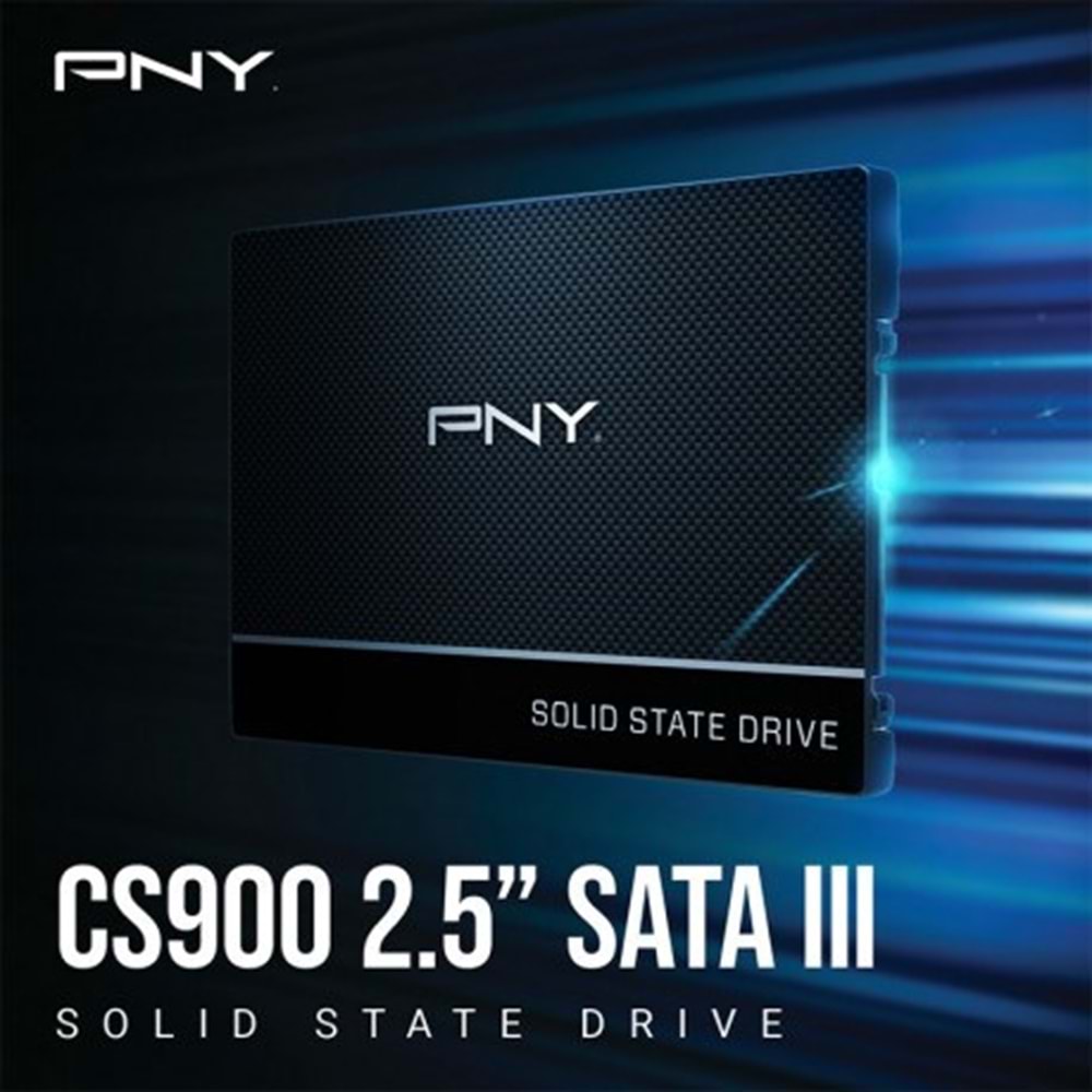 PNY 250GB CS900 SSD7CS900-250-RB 535-500MB/s SSD SATA-3 DİSK