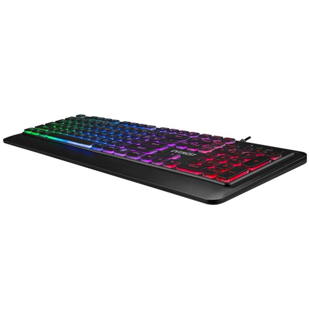 EVEREST Q TR KB-R59 FORZA Siyah Usb Rainbow Backlight Klavye