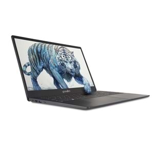 QUADRO 15.6