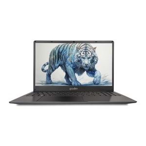 QUADRO 15.6