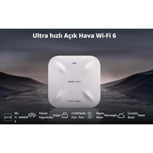 RUIJIE REYEE RG-RAP6260(H) AX6000 GIGABIT 300METRE HARİCİ ACCESS POINT