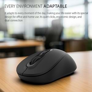 INCA IWM-288T Bluetooth & 2.4G Kablosuz siyah Ergonomic Design Silent 