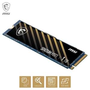 MSI 1TB SPATIUM M371 2350-1700MB/s M2 NVME GEN3 DİSK