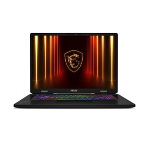 MSI 17