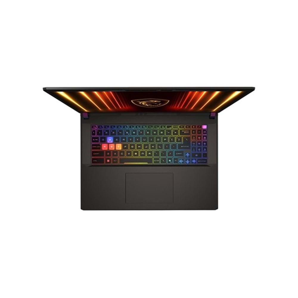 MSI 17