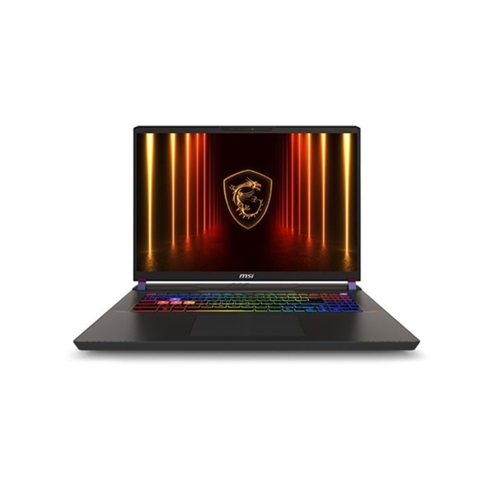 MSI 17