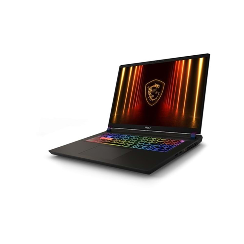 MSI 17