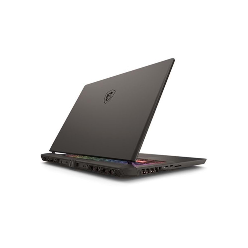 MSI 17